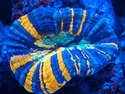 20250929_173806.jpg