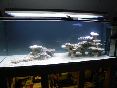 191212.JPG (309.51 KiB) 13797 mal betrachtet Dezember 2012