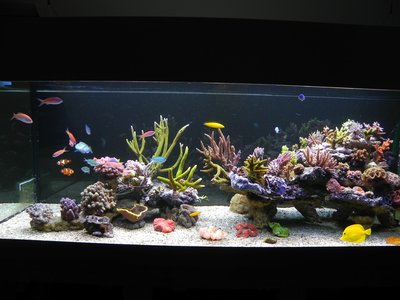 170313.JPG (377.96 KiB) 13797 mal betrachtet März 2013