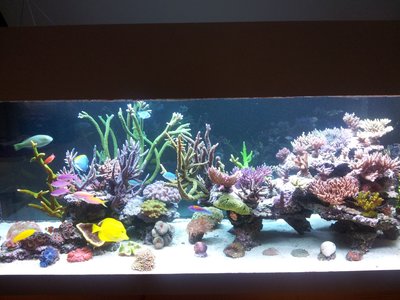 210414.jpg (445.1 KiB) 13797 mal betrachtet April 2014