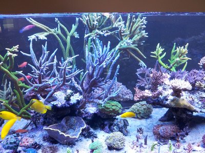 021114.jpg (623.94 KiB) 13797 mal betrachtet November 2014