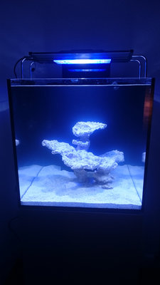 1klein.JPG (909.15 KiB) 11528 mal betrachtet So hat es im Frühjahr 2015 angefangen