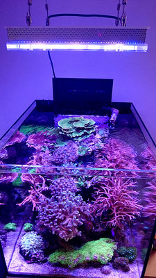 5klein.JPG (903.39 KiB) 11528 mal betrachtet das war der Stand vor etwa 2 Monaten