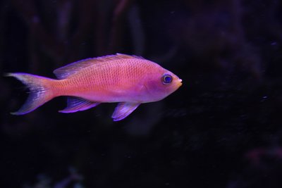 aqua - 12.jpg